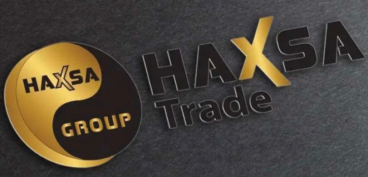 What is the importance of Haxsa Online B2B for today's business world?  