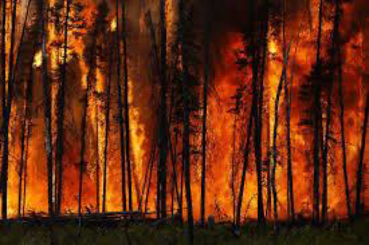 Number of forest fires in Ontario up compared to same time last year