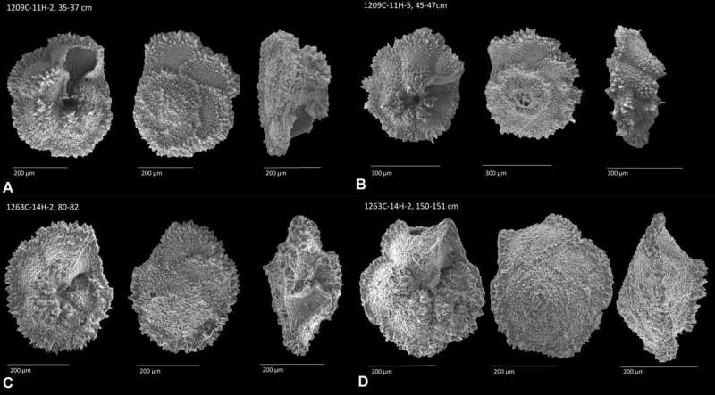 Oceans were stressed preceding abrupt, prehistoric global warming