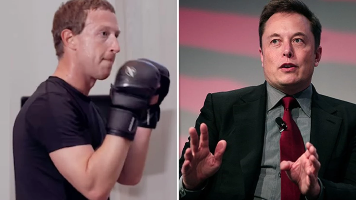 Elon Musk'ın kafes dövüşü teklifine Mark Zuckerberg'ten yanıt gecikmedi: Konum at