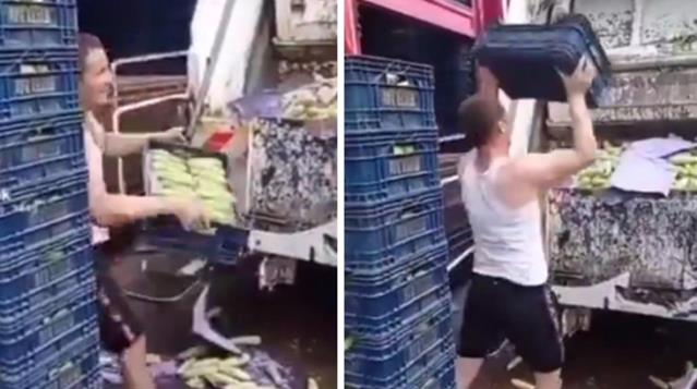 Bakanlık, o görüntüler için harekete geçti! Kasalar dolusu sebzenin çöpe dökülmesi araştırılıyor