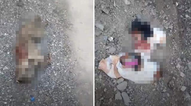 Başkentte boş arazideki çöp poşetlerinde çok sayıda ölü köpek bulundu