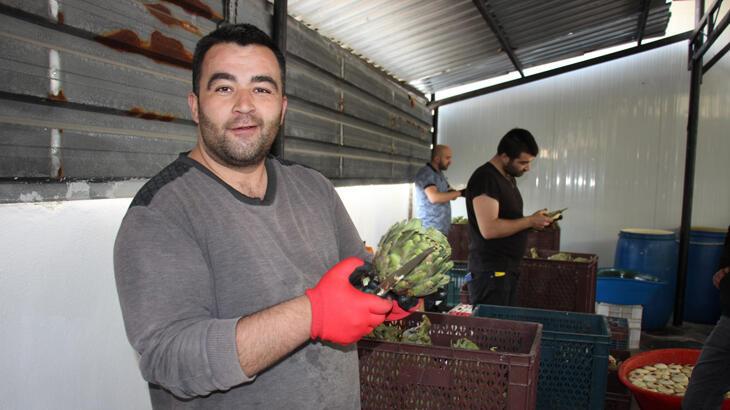 Bu iş için özel ekip kurdular, kişi başı aylık 30 bin TL kazanıyorlar