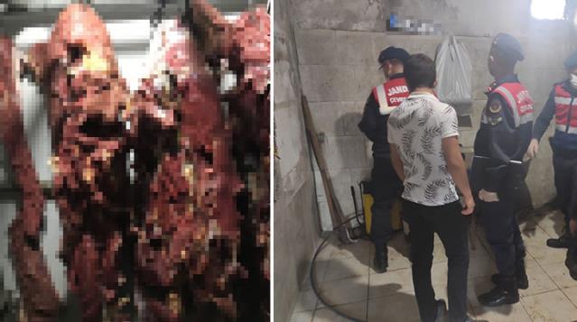 Büyük skandal: Piyasaya sürdükleri onlarca kilo at etini bize yedirmişler