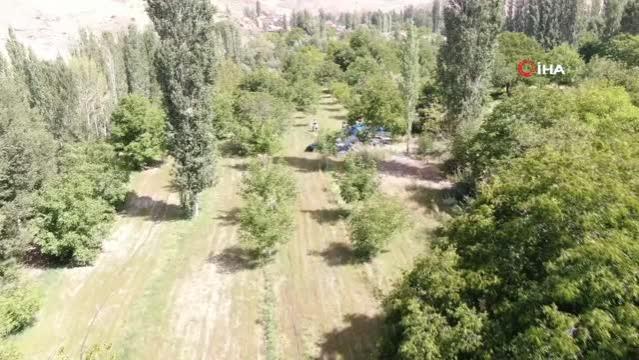 Ceviz hasadı üreticiyi üzdü, rekolte 10'da bire düştü