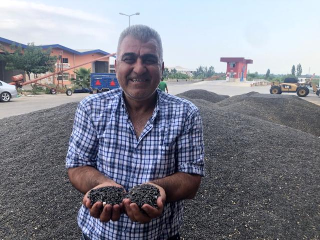 Çukurova'da ayçiçek tarlasında çifte bayram