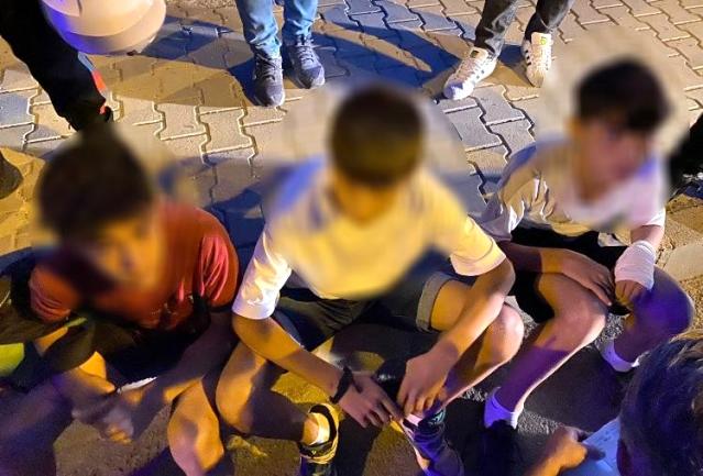 Diyarbakır'da ormanlık alanı yakmaya kalkışan 4 çocuk şüpheli tutuklanarak cezaevine gönderildi