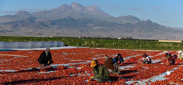Erciyes'in etekleri kırmızıya boyandı