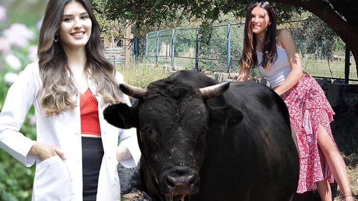 Fizyoterapist Sedef'in boğa sevdası, kariyerinin önüne geçti!