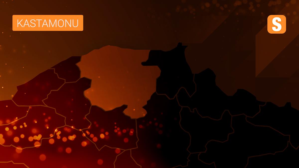 Kestane balında yüzde 50 verim kaybı yaşandı