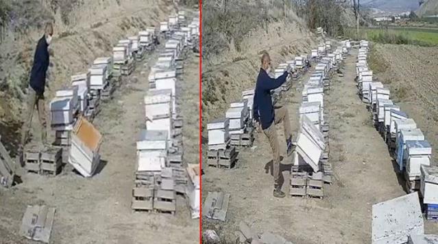 ''Kızımı kullandı'' deyip, boşanma davası açan damadının arı kovanlarını paramparça etti! Kayınpederin intikamı kamerada