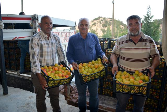 Korkuteli'de hasadına başlanan kayısının ilk ihracatı gerçekleştirildi