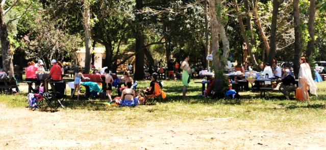 Kuşadası'nda plajlar doldu taştı