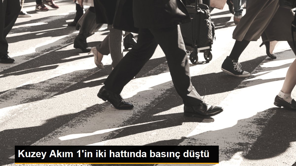 Kuzey Akım 1'in iki hattında basınç düştü