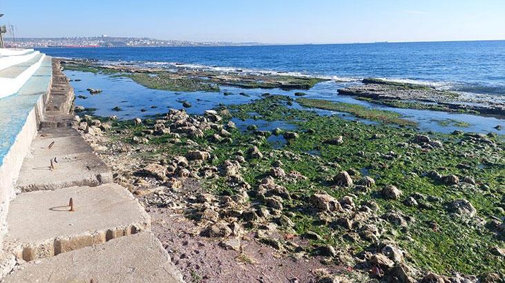 Marmara'da deniz suyu çekildi! Kandilli'den açıklama geldi