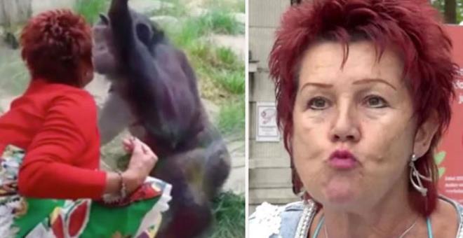 Maymuna aşık olan yaşlı kadın, hayvanat bahçesinden kovuldu