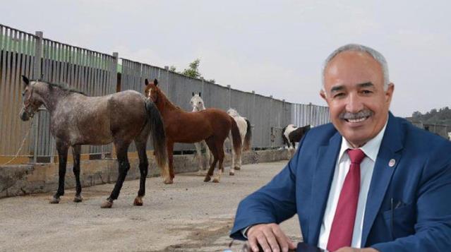 MHP'den istifa eden Dörtyol Belediye Başkanı: Atları teslim ettiğimiz kişi atları elinden kaçırdı