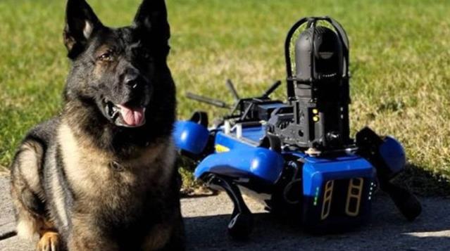 New York polisinin, robot köpek 