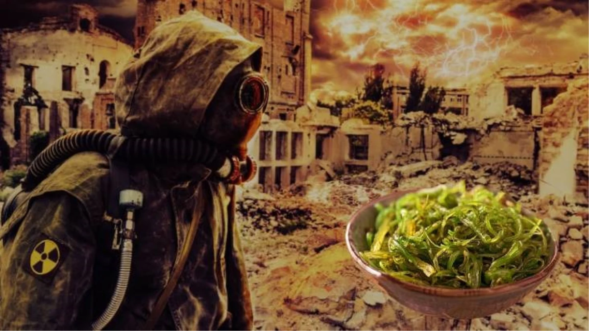 Nükleer savaşta insanlığı kurtaracak yeni bir besin keşfedildi