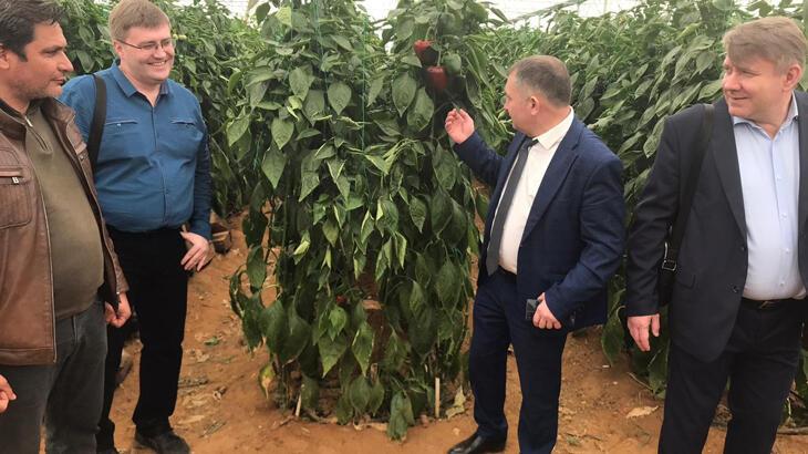 Rusya, meyve ve sebze ihracatındaki yasakları kaldırıyor