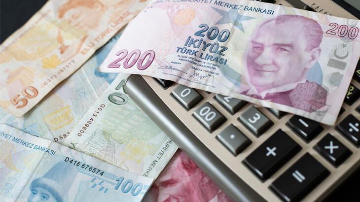 Aile başına en az 8500 TL! Vatandaşlık maaşından kimler yararlanacak?