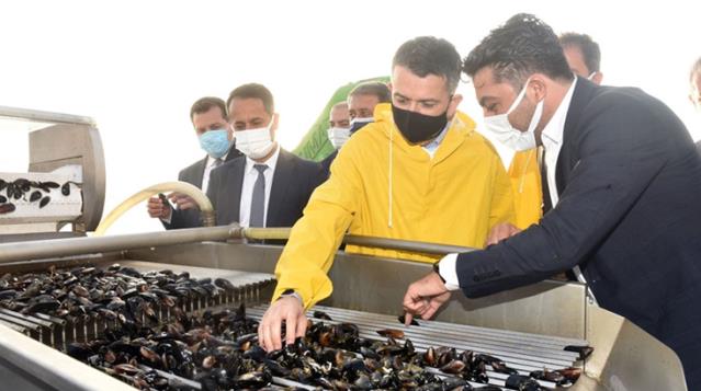 Tarım ve Orman Bakanı Bekir Pakdemirli'den, kıyı balıkçılarına ödeme müjdesi