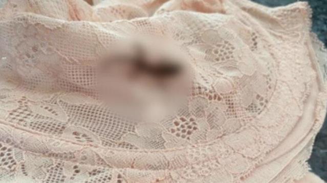 Tatilden eve dönen kadın, bavulunu açınca korkudan çığlığı bastı! Sütyeninden kertenkele çıktı
