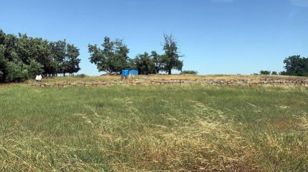 Tekirdağ'da çiftlik çalışanları arıların saldırısına uğradı: 1 ölü, 4 yaralı