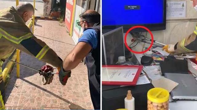 Televizyonun arkasındaki gölgeye eğildiler, 2 metrelik yılanla göz göze geldiler