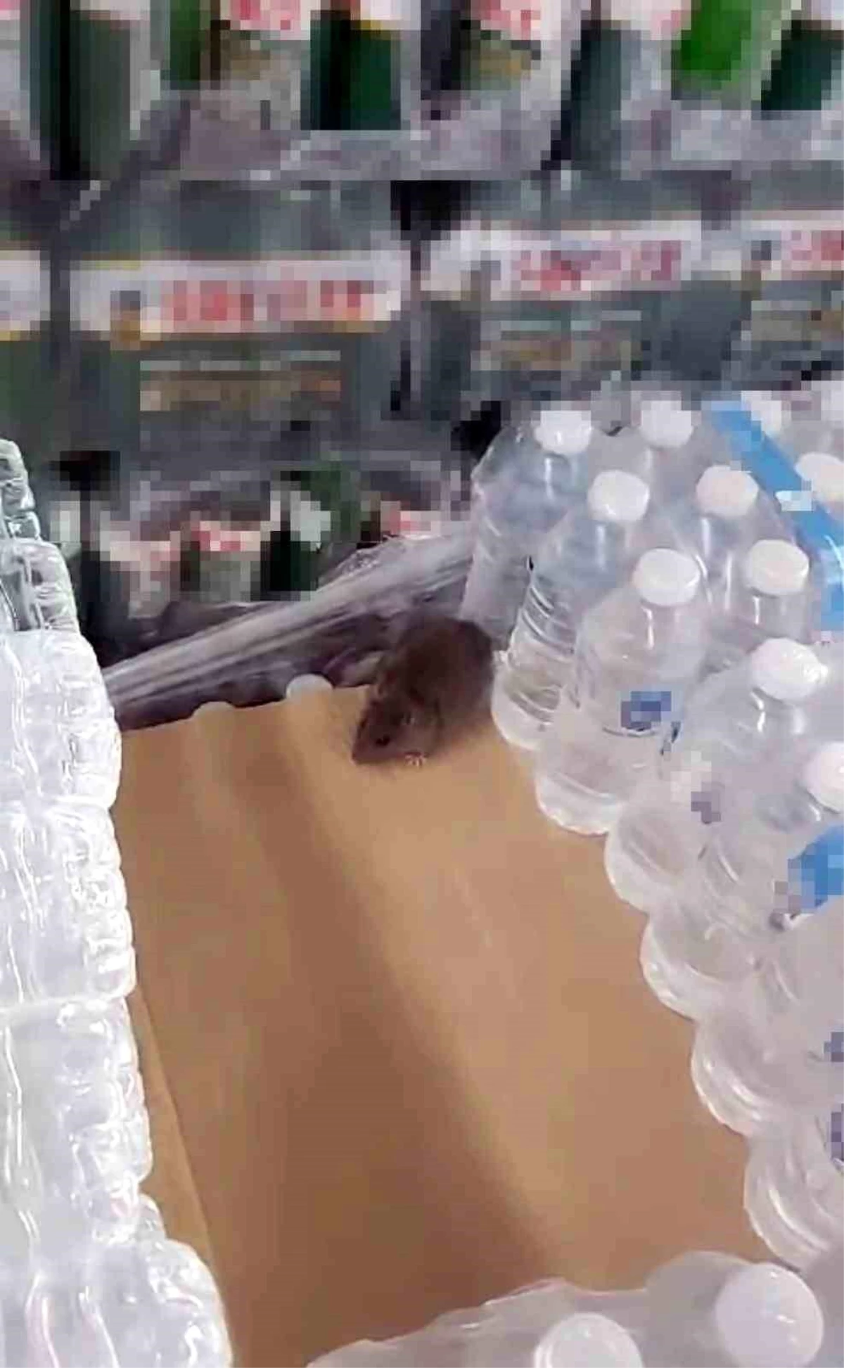 Türkiye'nin önde gelen zincir marketinde mide bulandıran görüntü